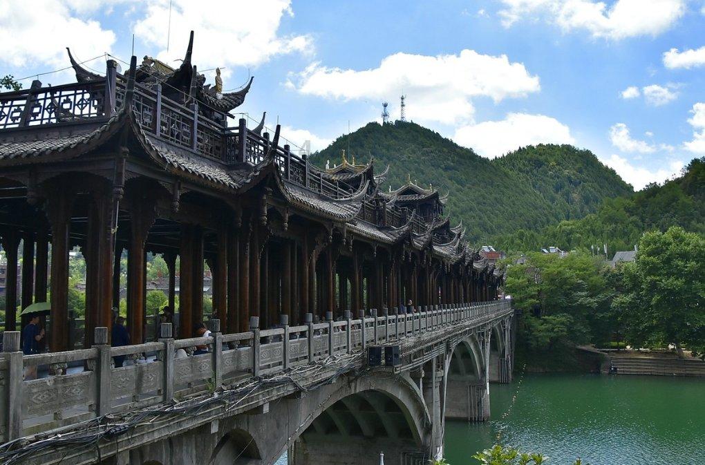 探索杨梅制作的方法是什么?,解锁你的知识星球之旅